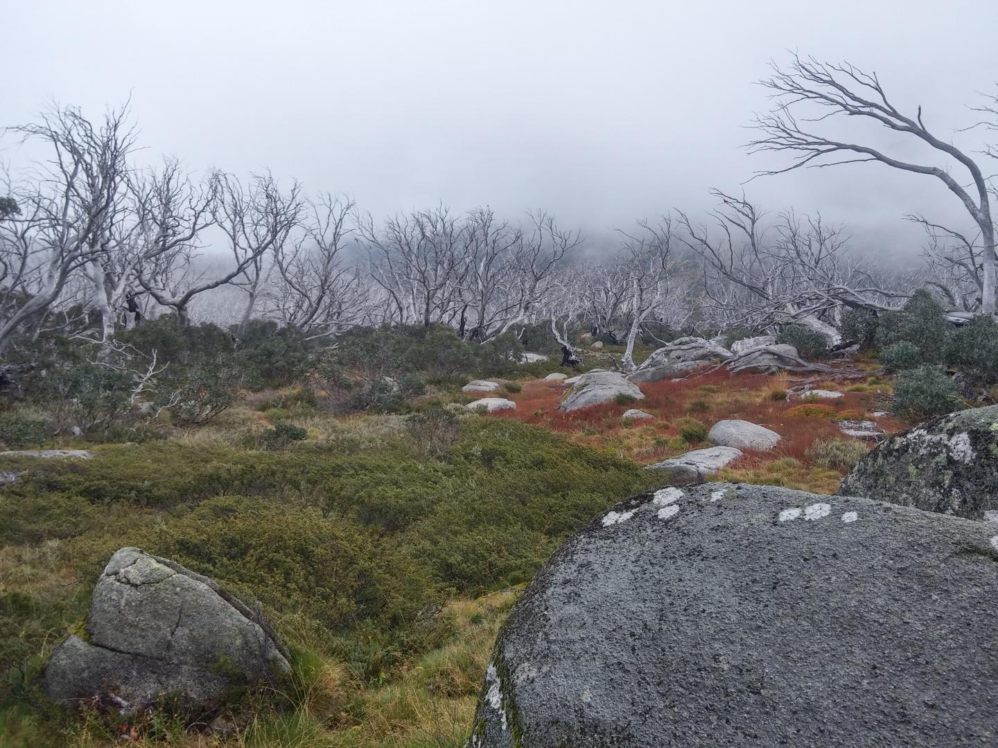 Thredbo Village to Mount Kosciuszko Loop Walk Kosciuszko National