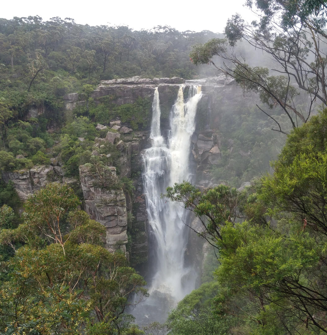 Carrington Falls Budderoo National Park BeyondTracks