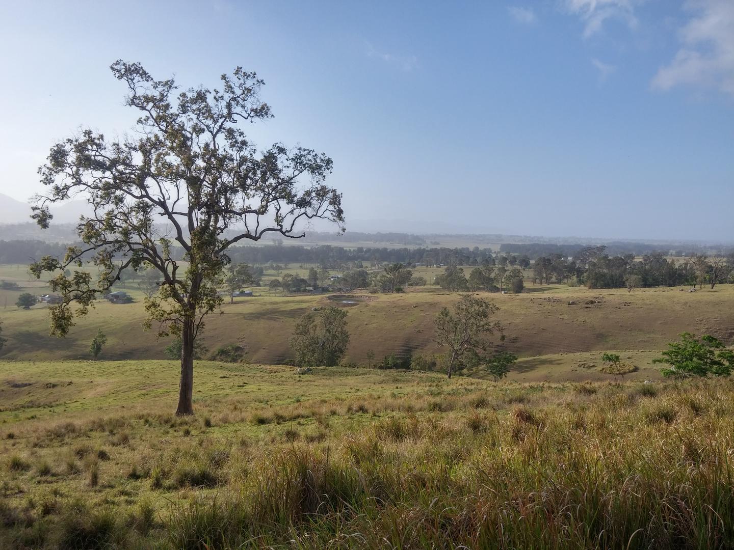 Bucketts Scenic Walk BeyondTracks