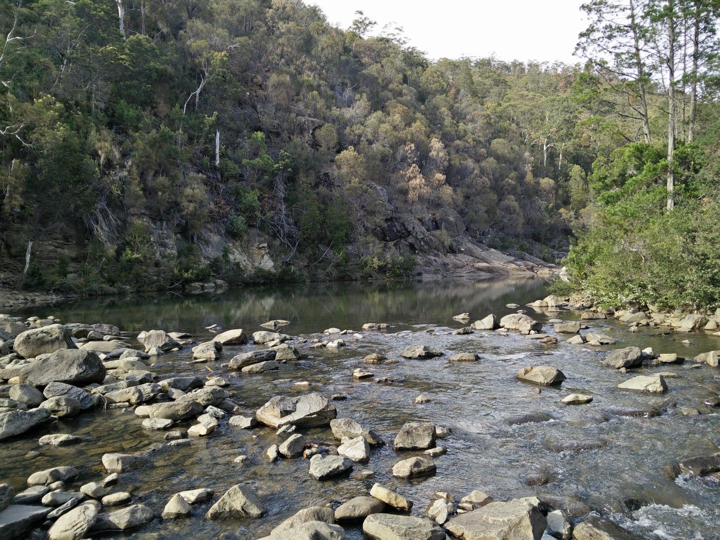 Apsley Track DouglasApsley National Park BeyondTracks