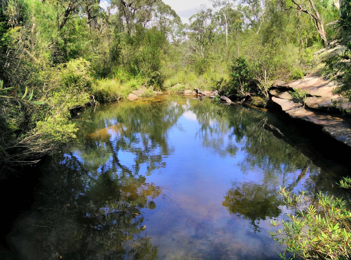 Hominy Creek Trail Popran National Park BeyondTracks