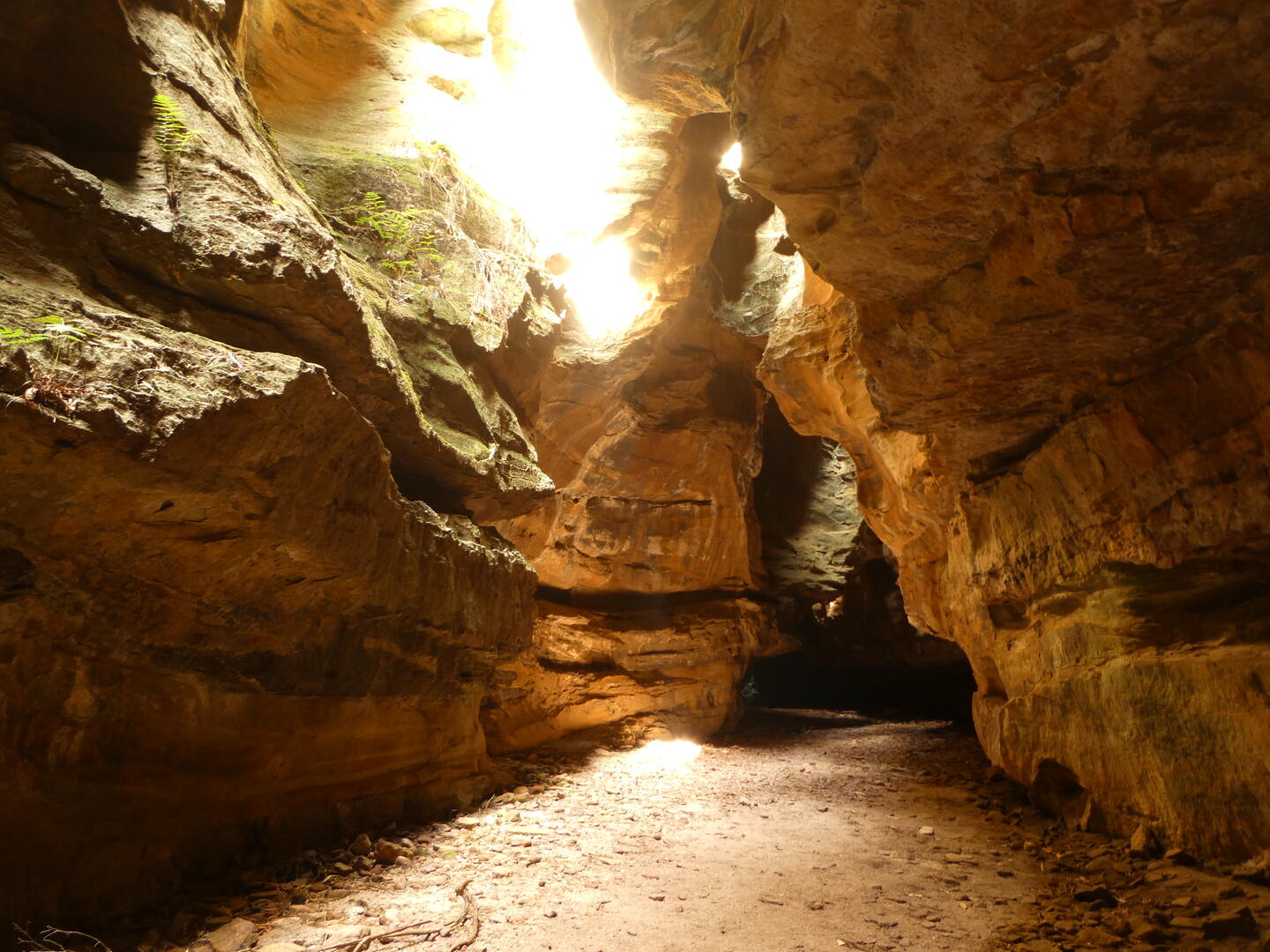 Dry Canyon Wollemi National Park BeyondTracks