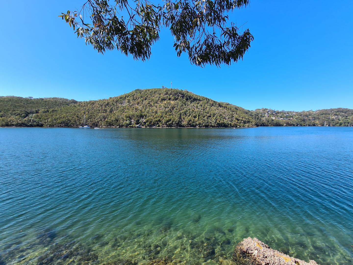 Middle Harbour Foreshore Seaforth to Northbridge BeyondTracks